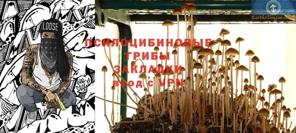 молекула духа Арсеньев