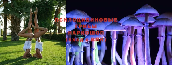 apvp Алексин